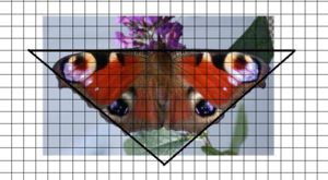 Schmetterling mit Dreieck und Raster.jpg