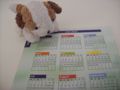 Haas Hund Kalender.jpg